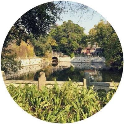 合晶弹头手游(暂未上线)v1.0 安卓版